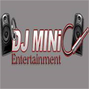 Tampa Live Music, Tampa DJ, Tampa Wedding Bands , DJ MINi C Entertainment 