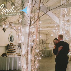 Minneapolis Live Music, Minneapolis Wedding Bands, Minneapolis DJ , Lando Live Music & DJ 